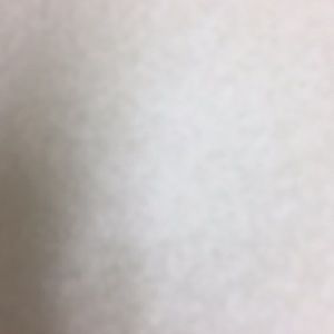 Meet your Posher, Eva